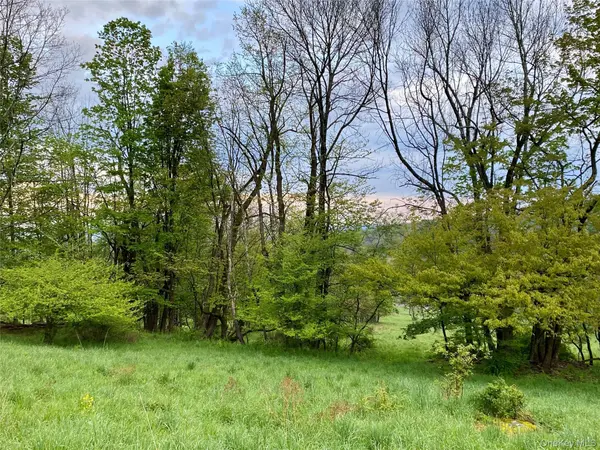 301 & 305 Hust Road Hust, Callicoon, NY 12748