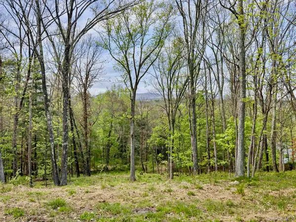Tbd Route 44/55, Kerhonkson, NY 12446