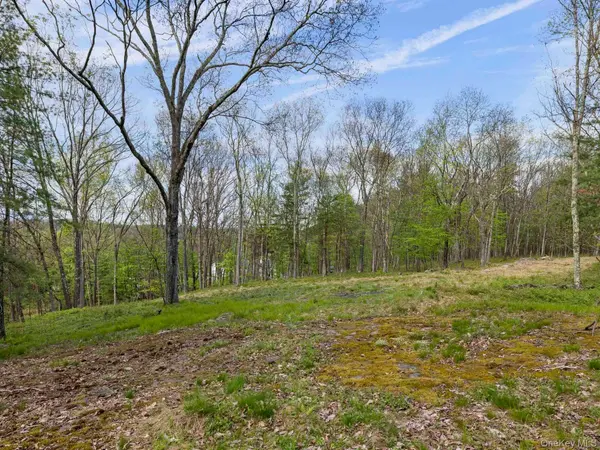 Tbd Route 44/55, Kerhonkson, NY 12446
