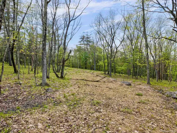 Tbd Route 44/55, Kerhonkson, NY 12446