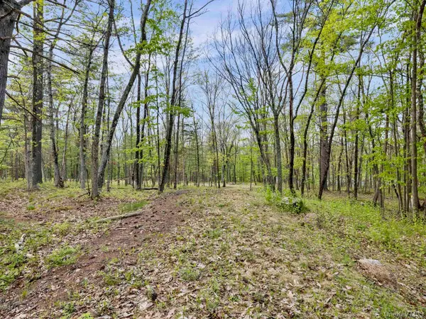 Tbd Route 44/55, Kerhonkson, NY 12446