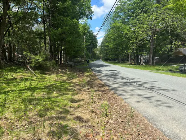 400 Red Hill RD, Phillipsport, NY 12790