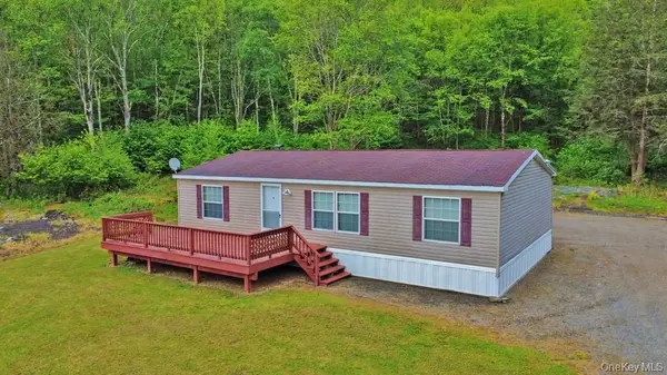 308 William Brown RD, Fremont, NY 12736