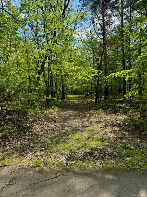 TBD Bill Matter RD, Coxsackie, NY 12051