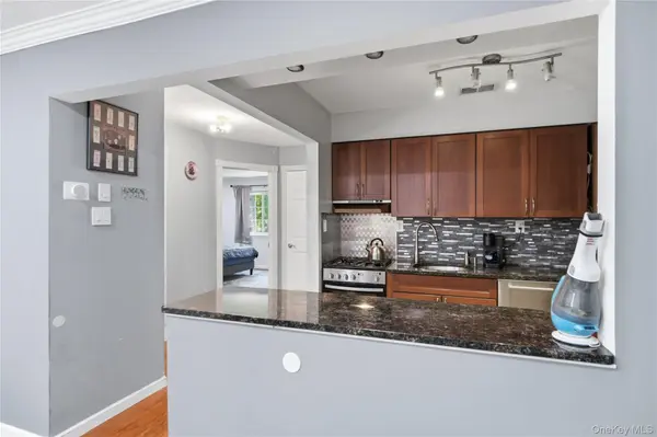 230 Lake Pointe CIR #230, Middle Island, NY 11953