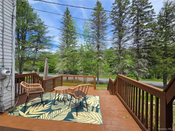 253 Harris Bushville RD, Monticello, NY 12701