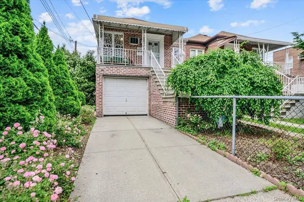 1103 Rhinelander AVE, Bronx, NY 10461