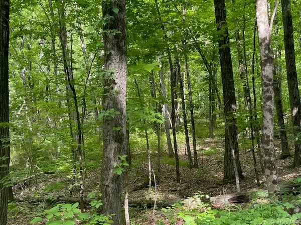 Joel M Austin RD, Cairo, NY 12413