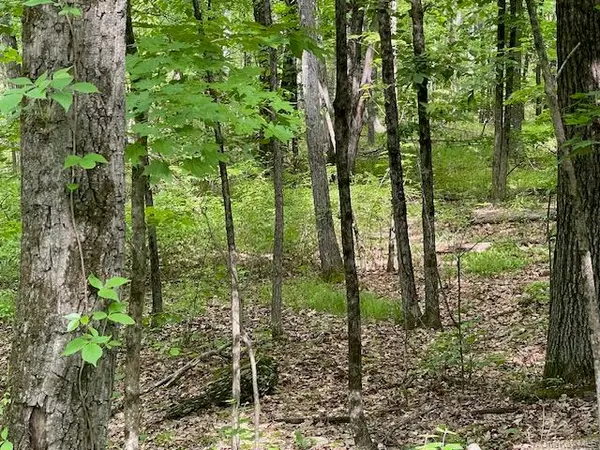 Joel M Austin RD, Cairo, NY 12413