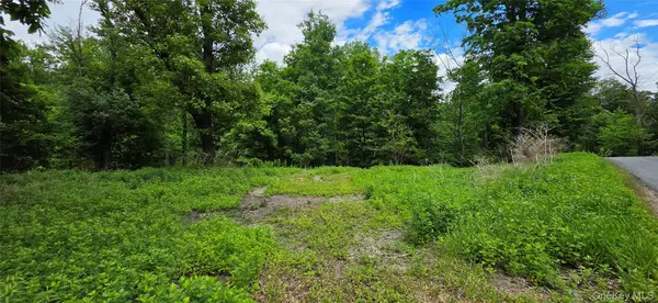 Address not disclosed, Wurtsboro, NY 12790