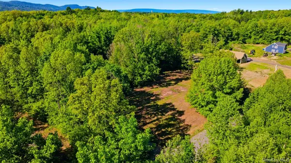238 Bruceville RD, High Falls, NY 12440
