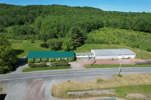 295 Jeffersonville North Branch RD, Jeffersonville, NY 12748