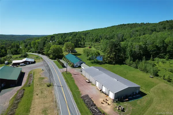 295 Jeffersonville North Branch RD, Jeffersonville, NY 12748