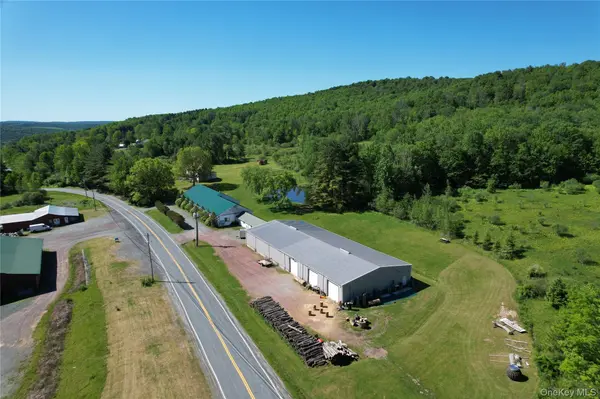 295 Jeffersonville North Branch RD, Jeffersonville, NY 12748