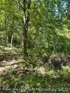 L-33 Harring RD, Cairo, NY 12413