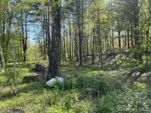 L-33 Harring RD, Cairo, NY 12413