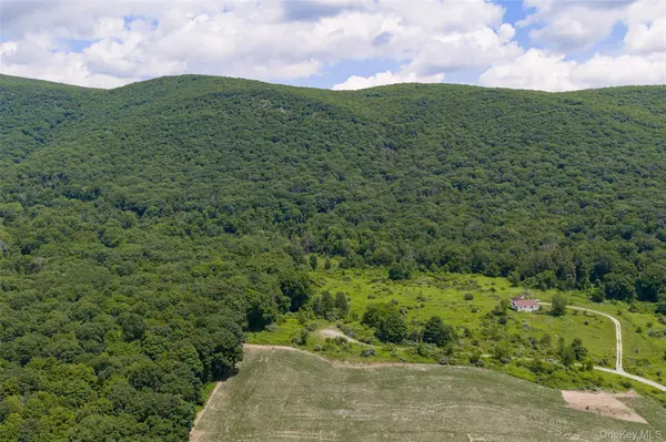 Mountain Edge LN, Millerton, NY 12546