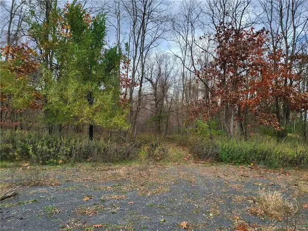 Ashley Drive - Lot 5, Rosendale, NY 12472