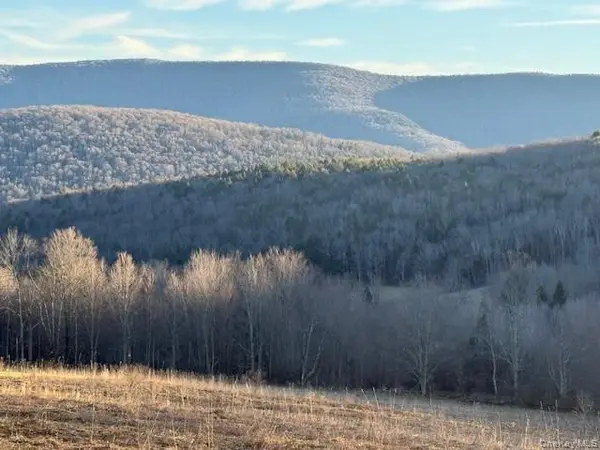 Hog Mountain, Fleischmanns, NY 12430