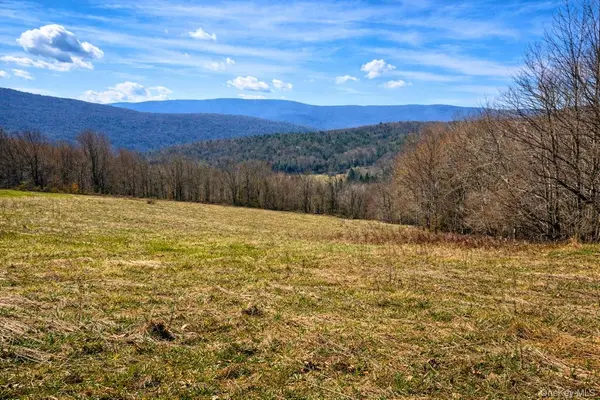 Hog Mountain, Fleischmanns, NY 12430