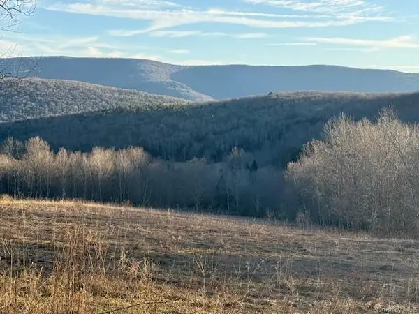 Hog Mountain, Fleischmanns, NY 12430