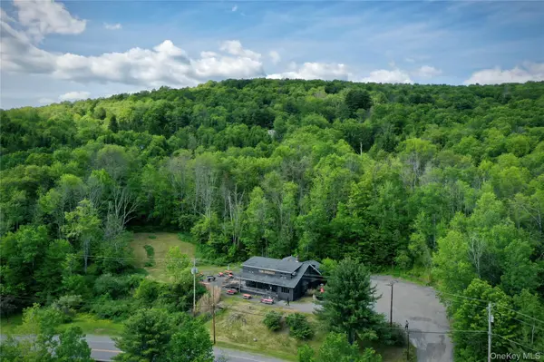 87 Debruce RD, Livingston Manor, NY 12758
