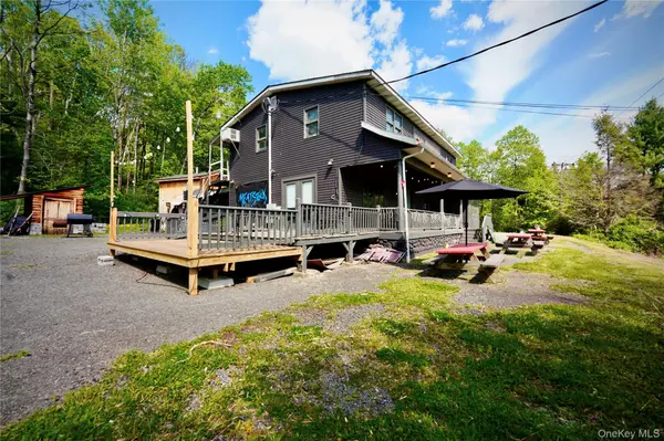 87 Debruce RD, Livingston Manor, NY 12758