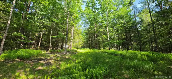 00 Church aka Pan Am RD, Mountain Dale, NY 12763