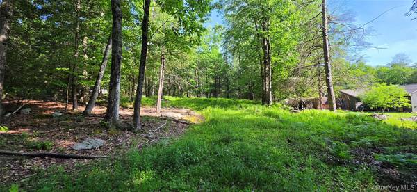 00 Church aka Pan Am RD, Mountain Dale, NY 12763