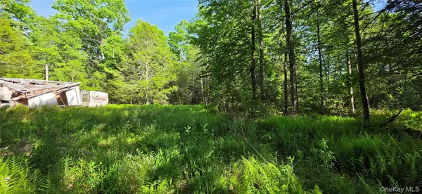 00 Church aka Pan Am RD, Mountain Dale, NY 12763