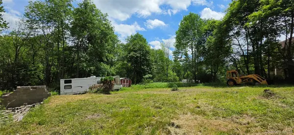 208 Parksville RD, Parksville, NY 12768