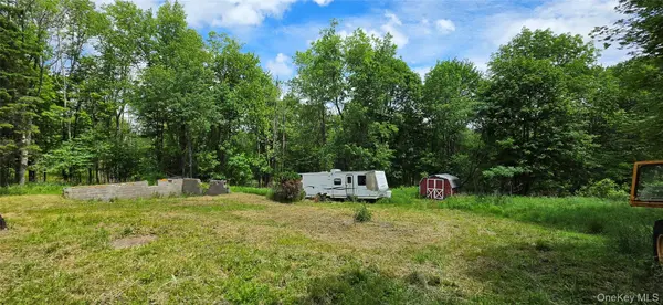 208 Parksville RD, Parksville, NY 12768