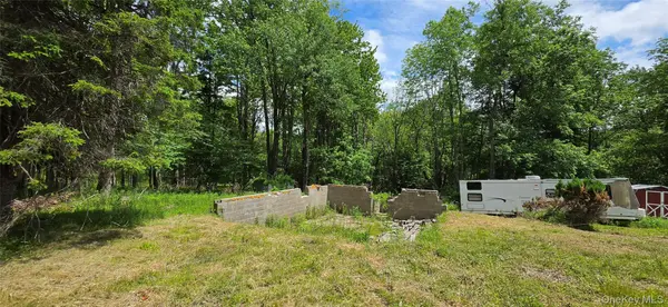 208 Parksville RD, Parksville, NY 12768