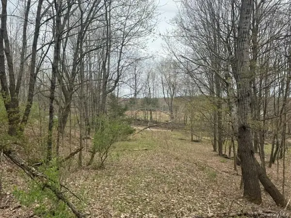 Lot 4 Shaver Hill Road, East Meredith, NY 13806