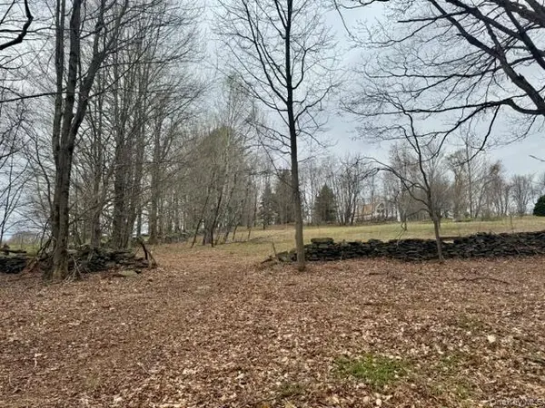 Lot 4 Shaver Hill Road, East Meredith, NY 13806