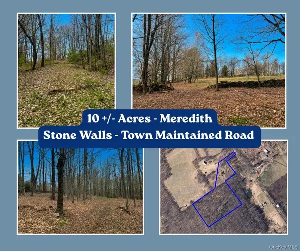 Lot 4 Shaver Hill Road, East Meredith, NY 13806