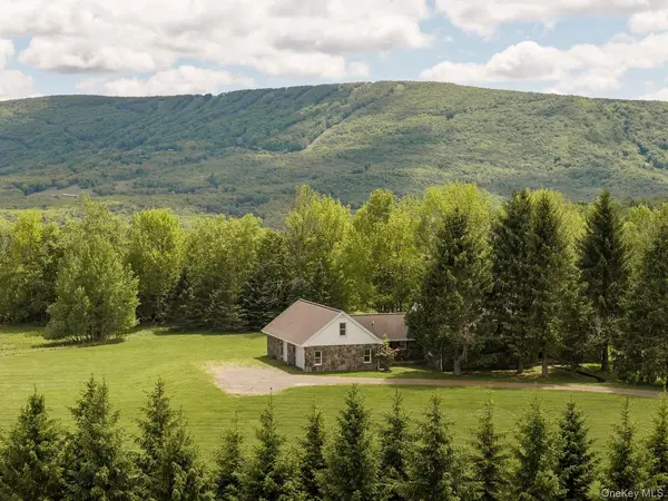 2114 Brush Ridge RD, Fleischmanns, NY 12430