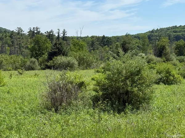 0 Route 44, Millerton, NY 12546