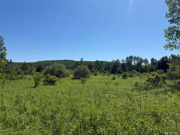 0 Route 44, Millerton, NY 12546