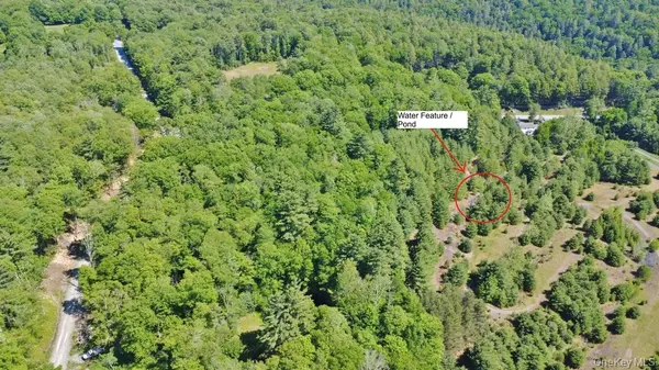 *** Marsh Rd, Glen Wild, NY 12733
