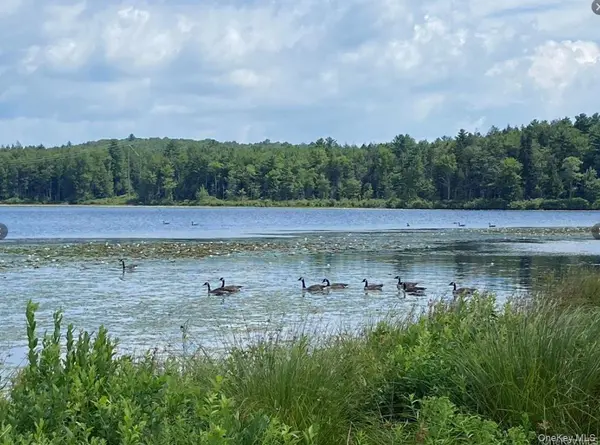 15 Bailey Lake RD ##-1, Kiamesha Lake, NY 12751