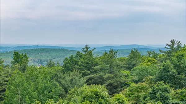 TBD Skinner LN, Athens, NY 12015