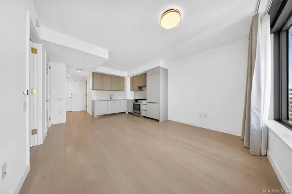 3 Court SQ #5005, Long Island City, NY 11101