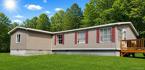 168 Harris RD, Harris, NY 12742