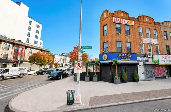 1135 Flatbush AVE, Brooklyn, NY 11226