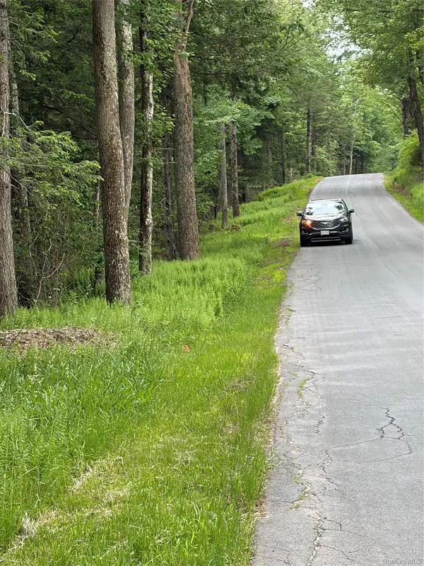Creamery RD, Bethel, NY 12701