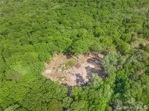 Lot 5 S White Rock RD, Holmes, NY 12564