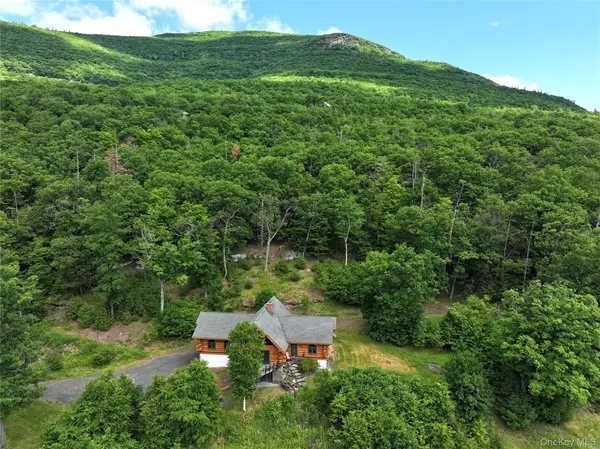 24 Tanis Hollow RD, Woodstock, NY 12498