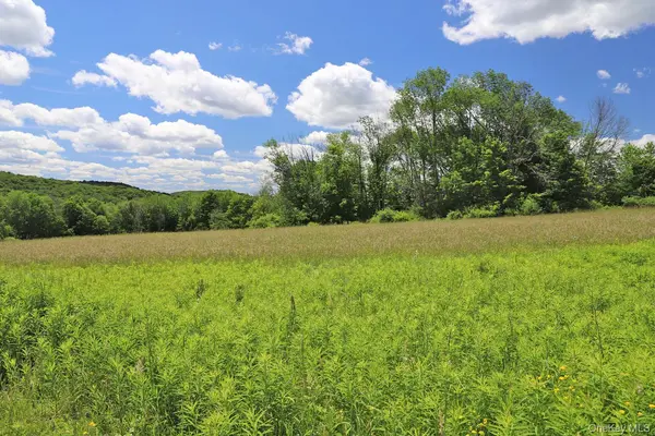 Dietz RD, Callicoon Center, NY 12724