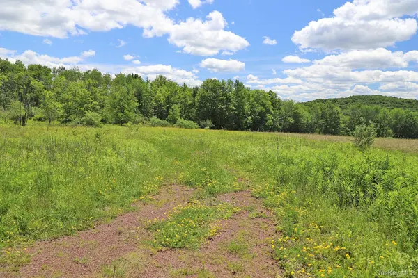 Dietz RD, Callicoon Center, NY 12724